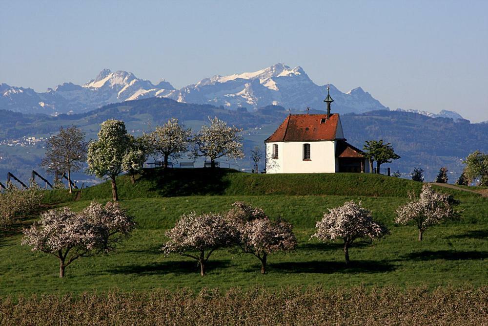 Zum Seglerhafen - Ferienappartement Kressbronn am Bodensee Kültér fotó